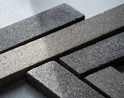 Bio-Cement Market Report : CAGR of 5.5% from 2025-2031
