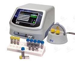 All-electric punching system market report: CAGR of 9.2% from 2025 to 2031